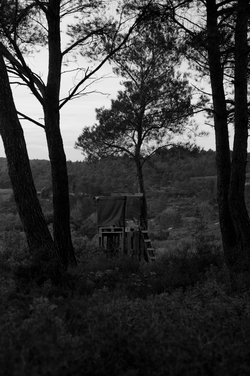 © treillet juliette - Image from the Hearth ( Foyer ) photography project