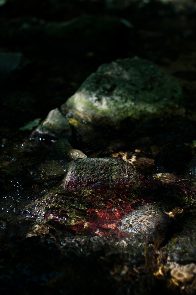 © treillet juliette - Image from the Hearth ( Foyer ) photography project