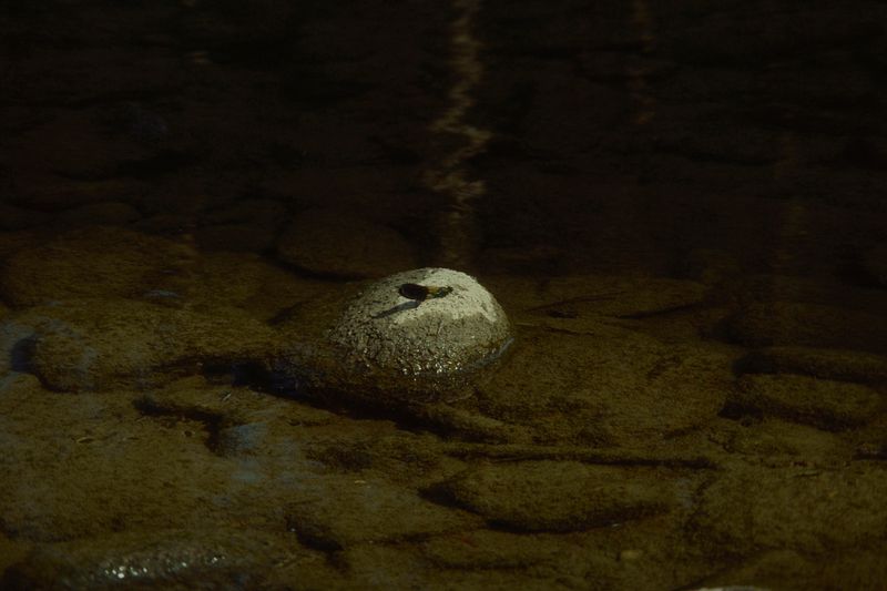 © treillet juliette - Image from the Sacrum photography project