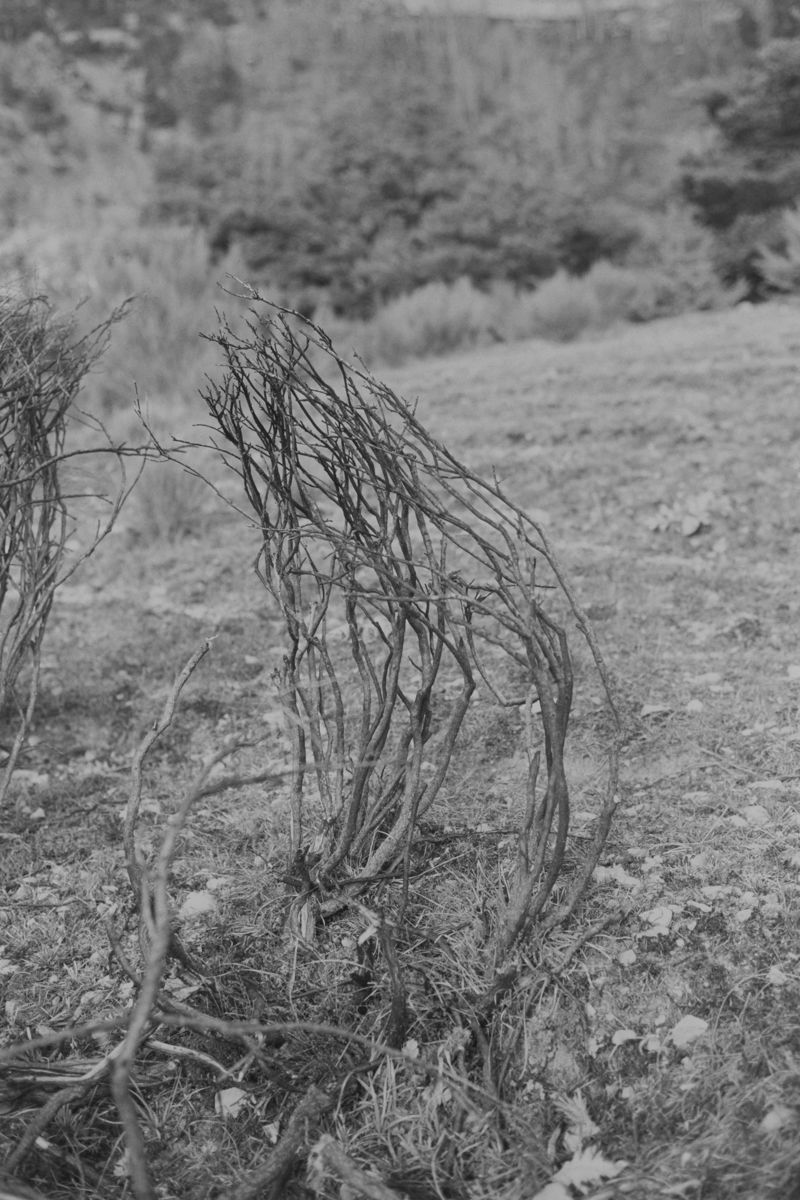 © treillet juliette - Image from the Sacrum photography project