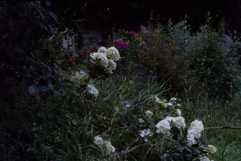 © treillet juliette - Image from the Sacrum photography project