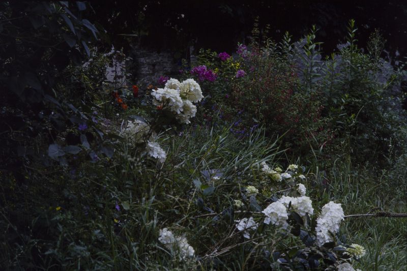 © treillet juliette - Image from the Sacrum photography project