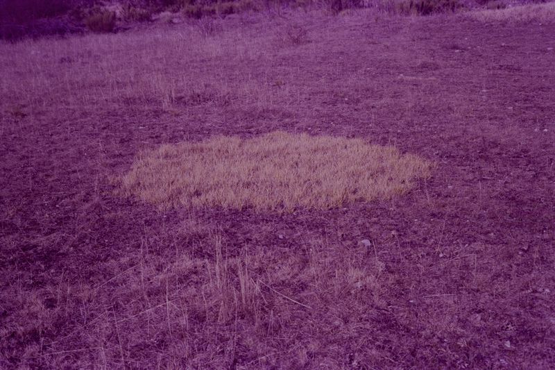 © treillet juliette - Image from the Sacrum photography project