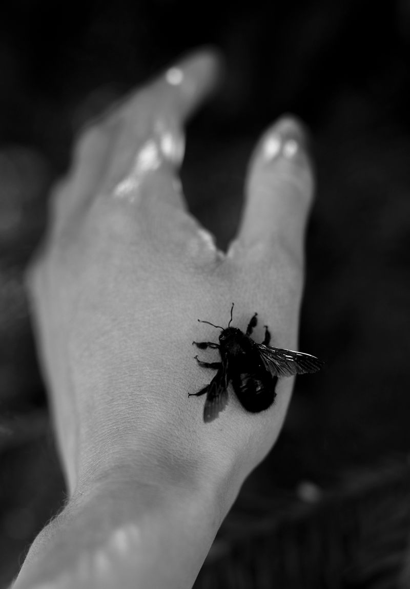 © treillet juliette - Image from the Sacrum photography project