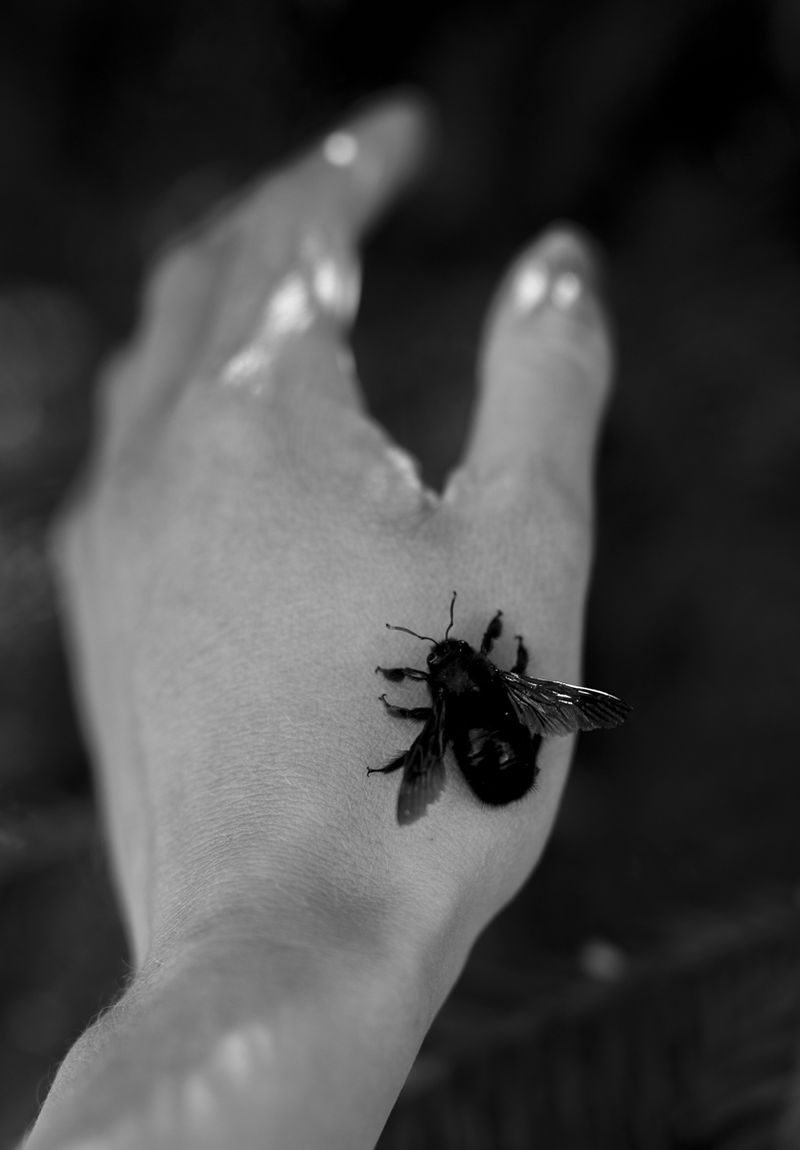 © treillet juliette - Image from the Sacrum photography project