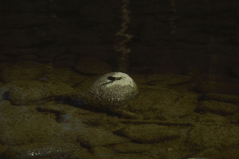 © treillet juliette - Image from the Sacrum photography project