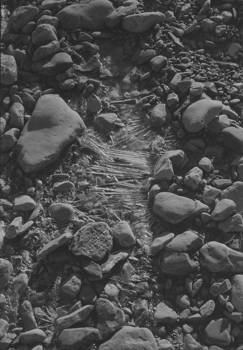 © treillet juliette - Image from the Sacrum photography project