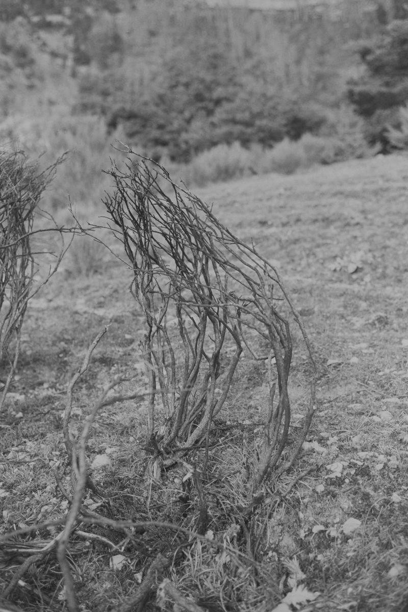 © treillet juliette - Image from the Sacrum photography project