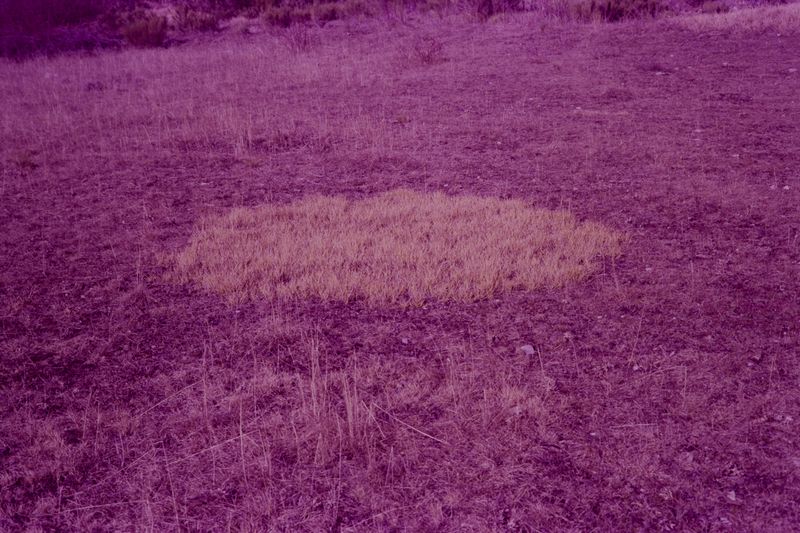 © treillet juliette - Image from the Sacrum photography project