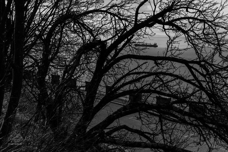 © Giovanni Gabassi - Image from the ...qui e ovunque photography project