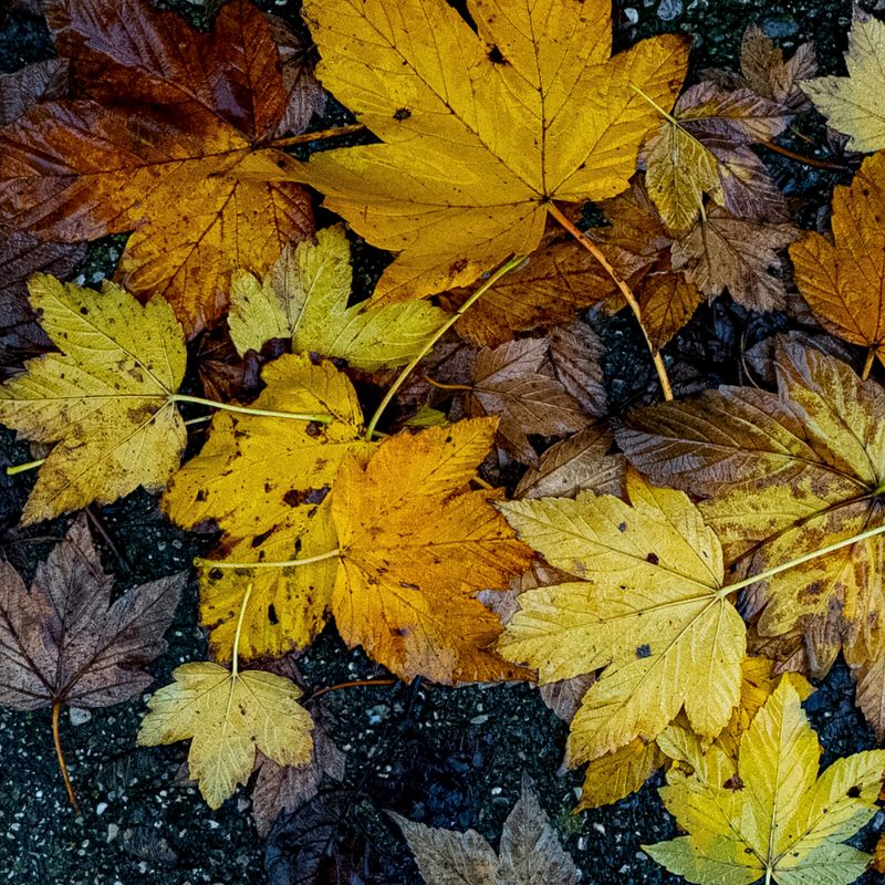 © Giovanni Gabassi - Image from the Down and up photography project