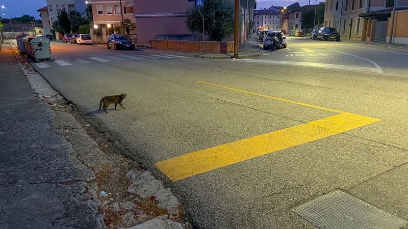 © Giovanni Gabassi - Image from the One drop after another photography project