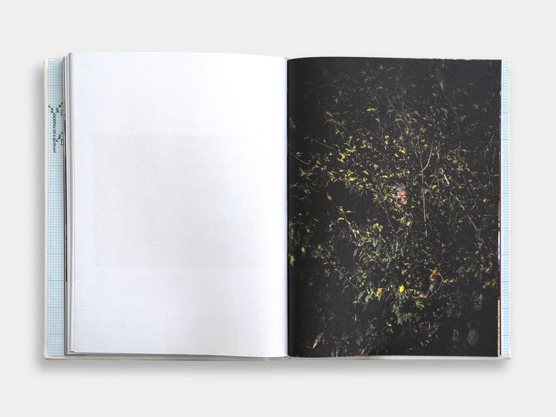 Image from a project on PhMuseum