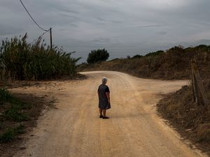 Uma Azeitona Bordada em Azul