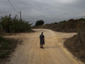 Uma Azeitona Bordada em Azul