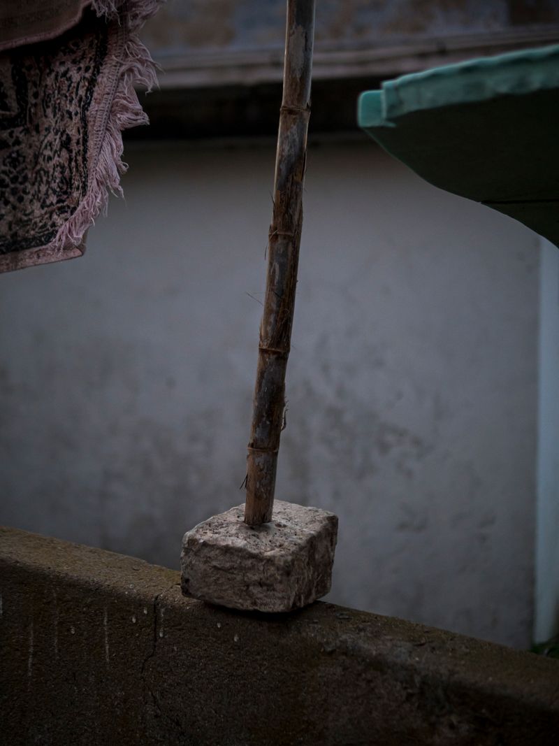 © Rui Costa - Image from the Uma Azeitona Bordada em Azul photography project