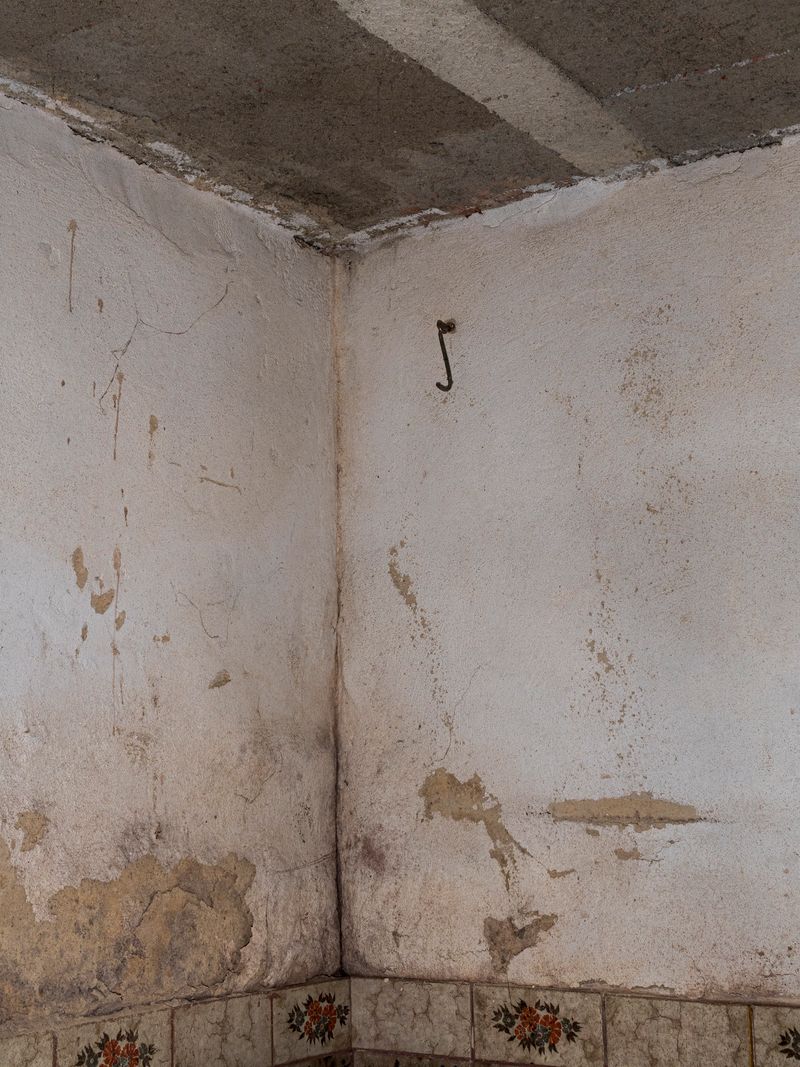 © Rui Costa - Image from the Uma Azeitona Bordada em Azul photography project