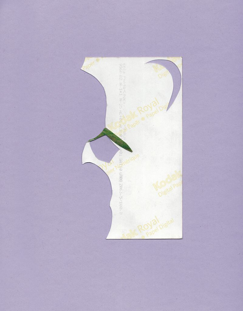 © Liesl Pfeffer - Collage (lavender)Germany2022collage: photograph on coloured cardboard