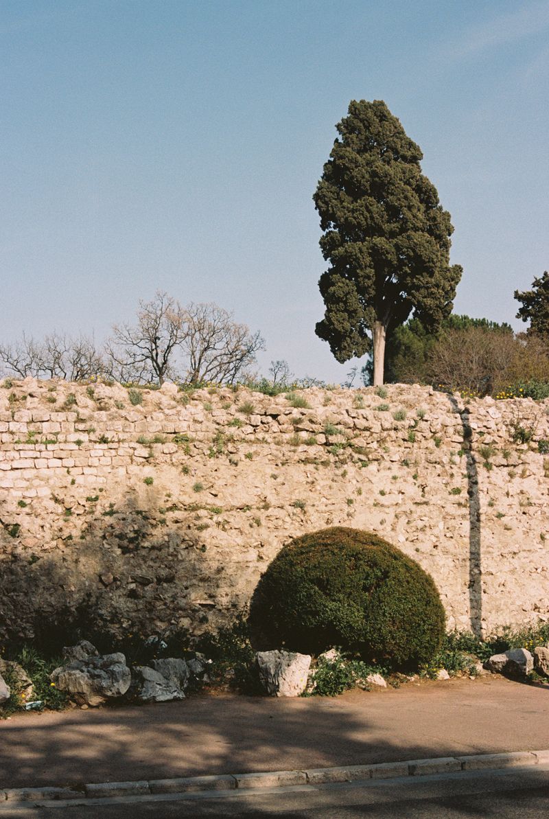 © Liesl Pfeffer - NiceFrance202235mm photograph