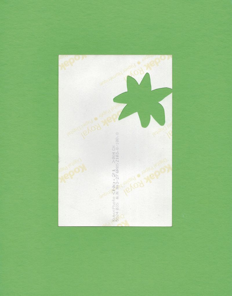 © Liesl Pfeffer - Collage (lime)Germany2023collage: photograph on coloured cardboard
