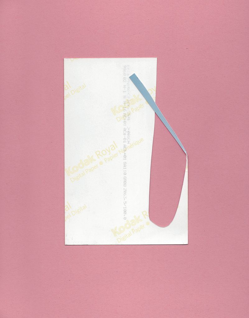 © Liesl Pfeffer - Collage (raspberry)Germany2022collage: photograph on coloured cardboard