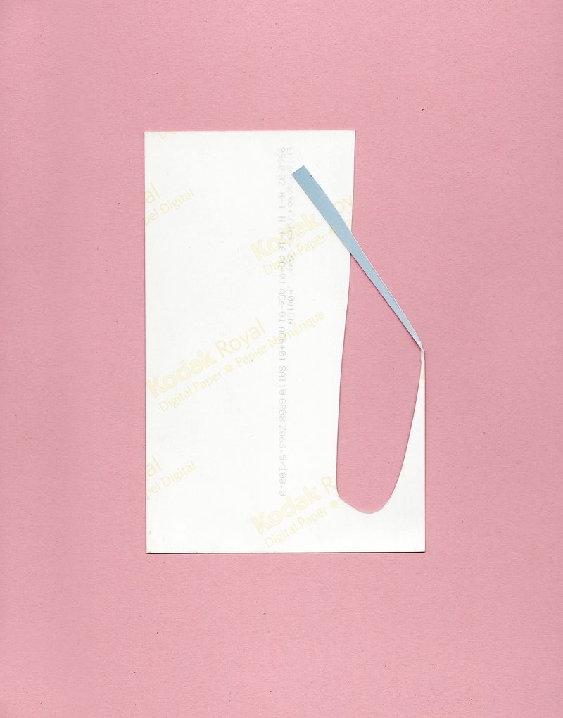 © Liesl Pfeffer - Collage (raspberry)Germany2022collage: photograph on coloured cardboard