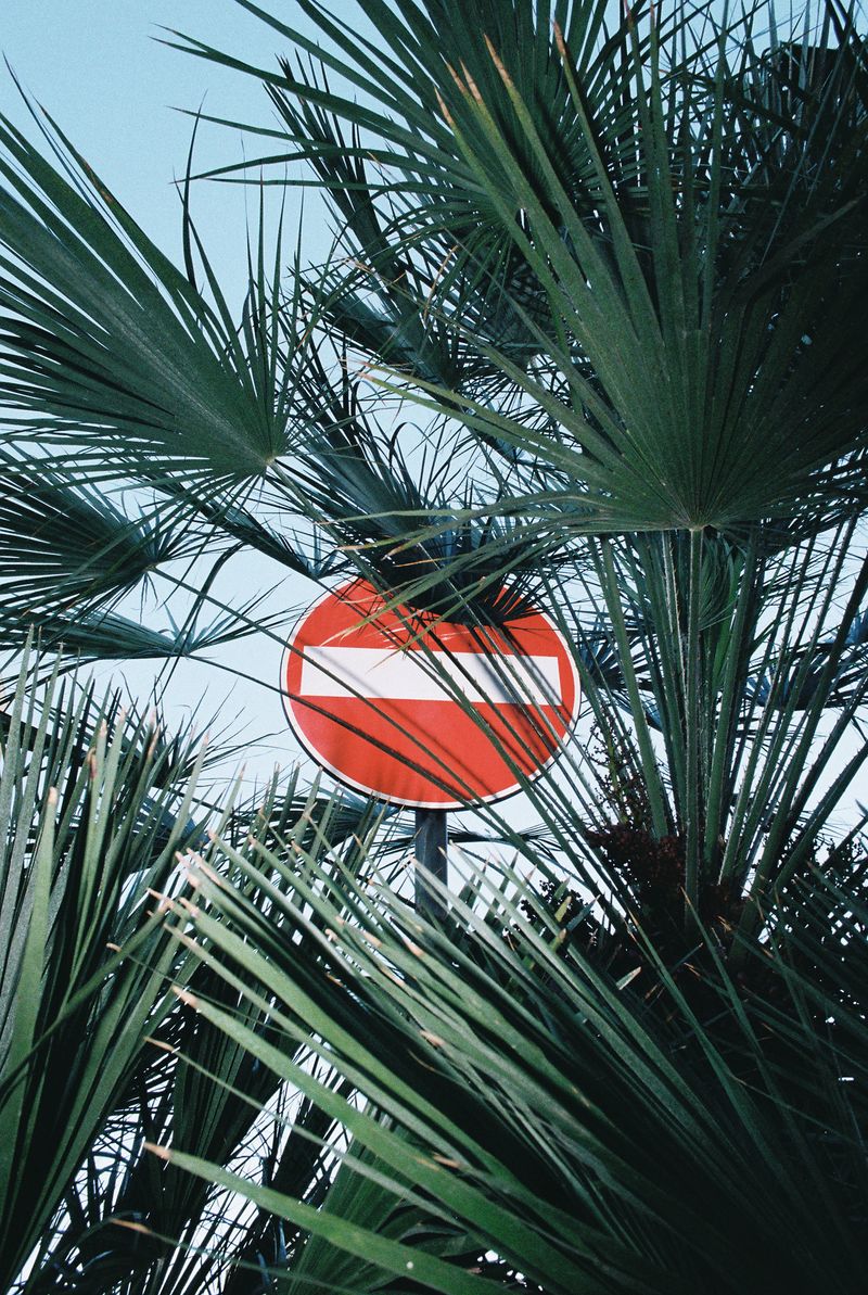 © Liesl Pfeffer - PalermoItaly202035mm photograph