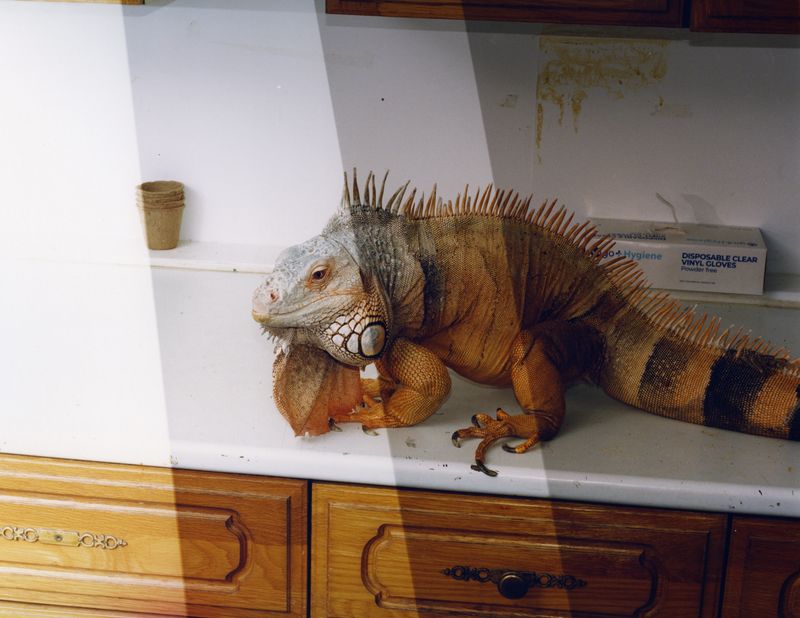 © Oliver Frank Chanarin - Image from the A Perfect Sentence photography project