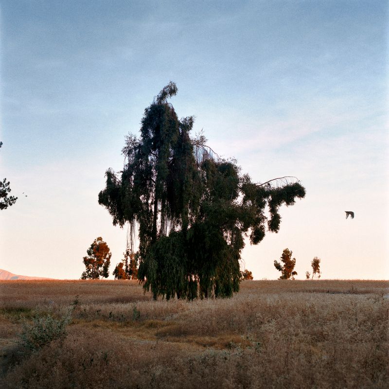 © gabriela concha - Image from the Cuajone photography project