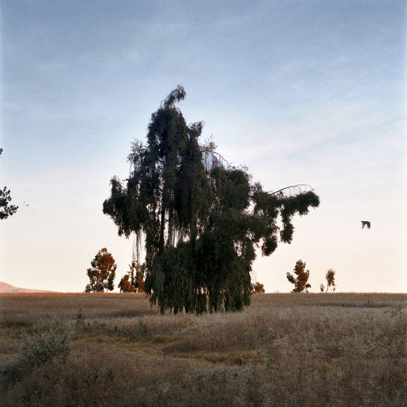 © gabriela concha - Image from the Cuajone photography project