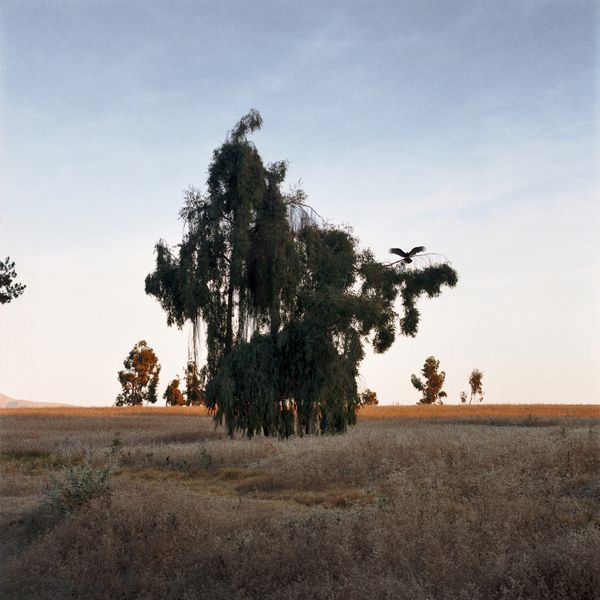 © gabriela concha - Image from the Cuajone photography project