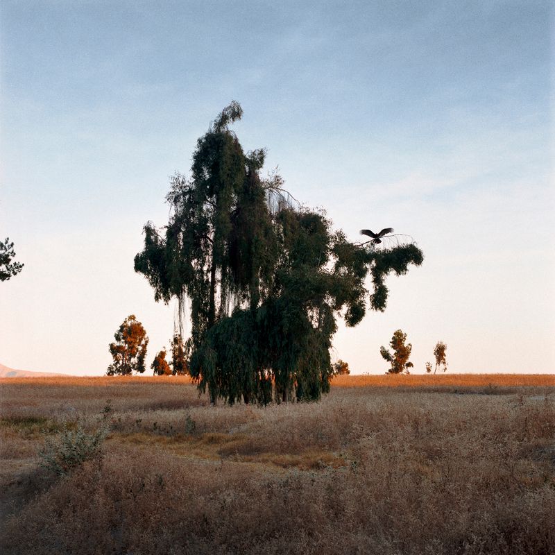 © gabriela concha - Image from the Cuajone photography project