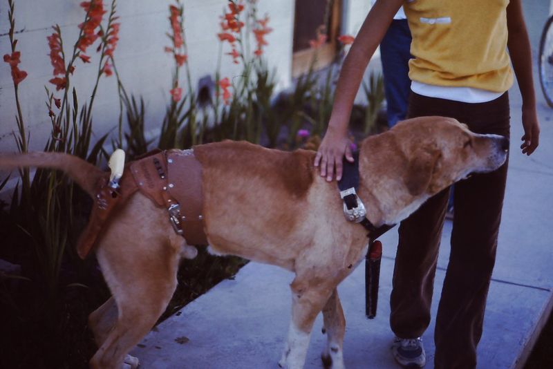 © gabriela concha - Image from the El Tesoro de Salaverry (Salaverry's Treasure) photography project