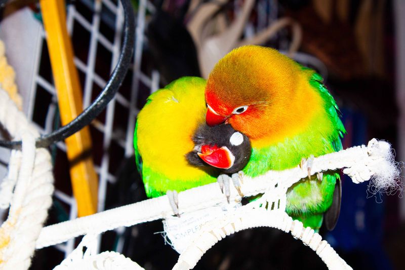 © Vixtoria Salomonsen - Image from the Your Eyes photography project