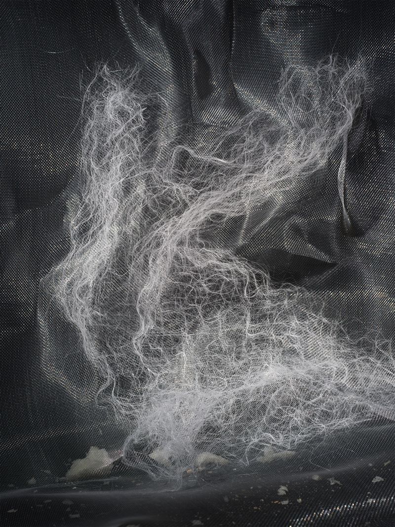 © Yi Hsuan Lai - Spirit