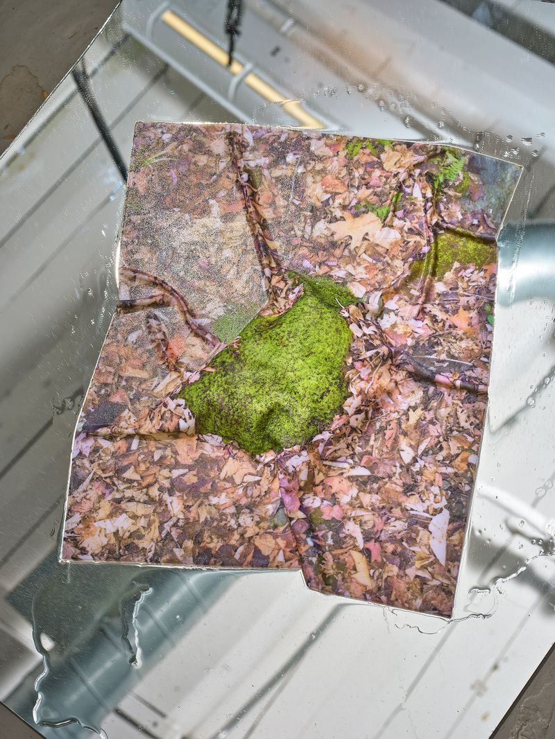 © Yi Hsuan Lai - Humid Memory