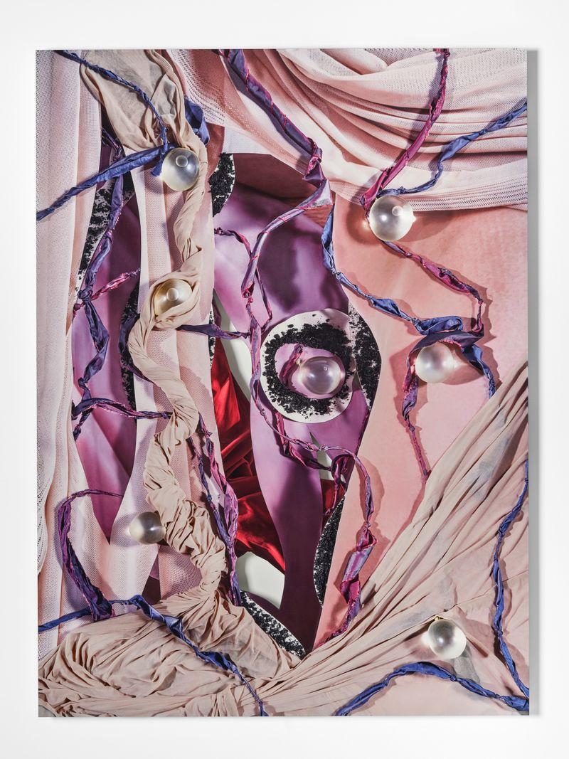 © Yi Hsuan Lai - Wander Wonders, 2025, Dye Sub print on aluminum mounted on Sintra, paint, 42.5 W x 57.75H x 1D in