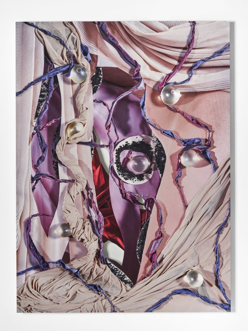 © Yi Hsuan Lai - Wander Wonders, 2025, Dye Sub print on aluminum mounted on Sintra, paint, 42.5 W x 57.75H x 1D in