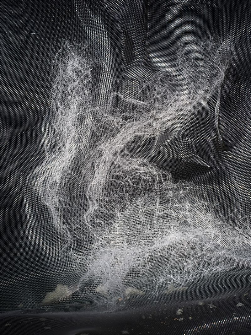 © Yi Hsuan Lai - Soulful Swing