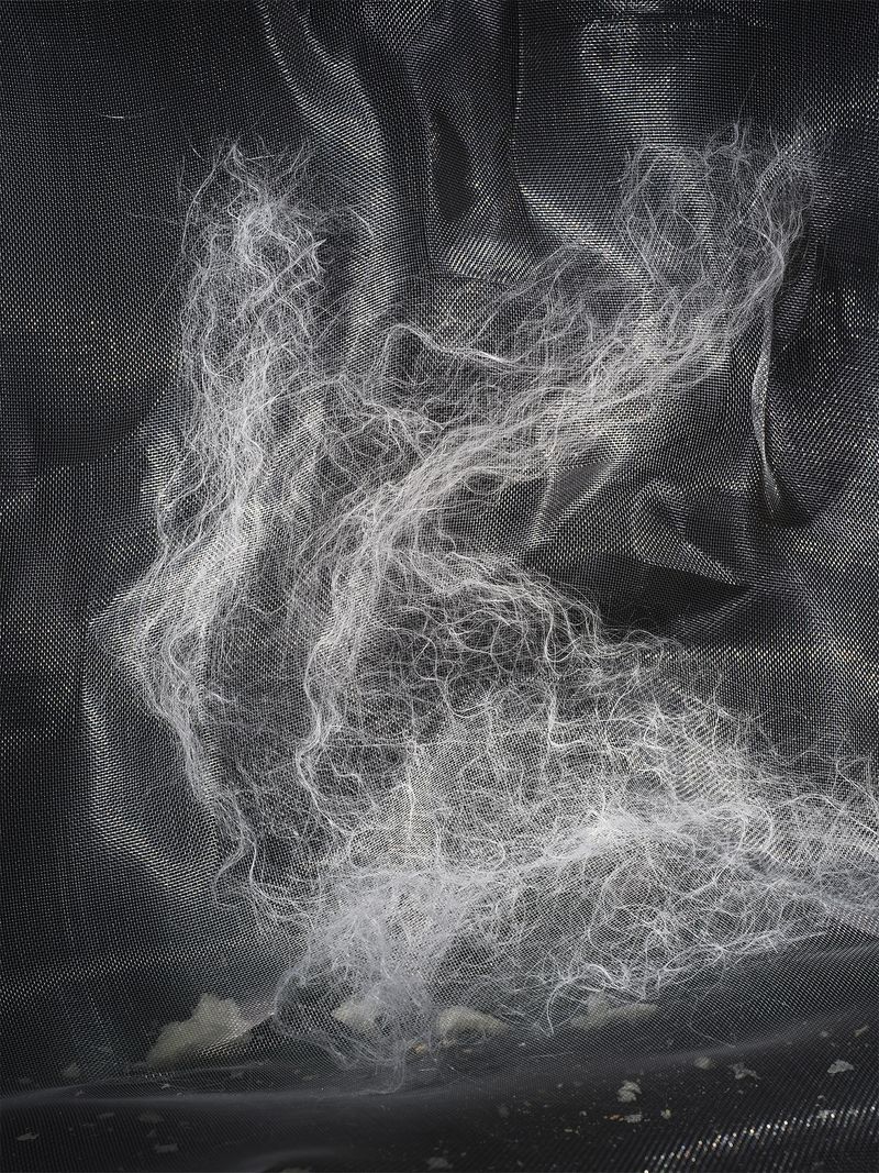 © Yi Hsuan Lai - Soulful Swing