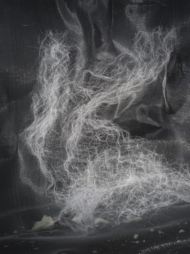 © Yi Hsuan Lai - Spirit