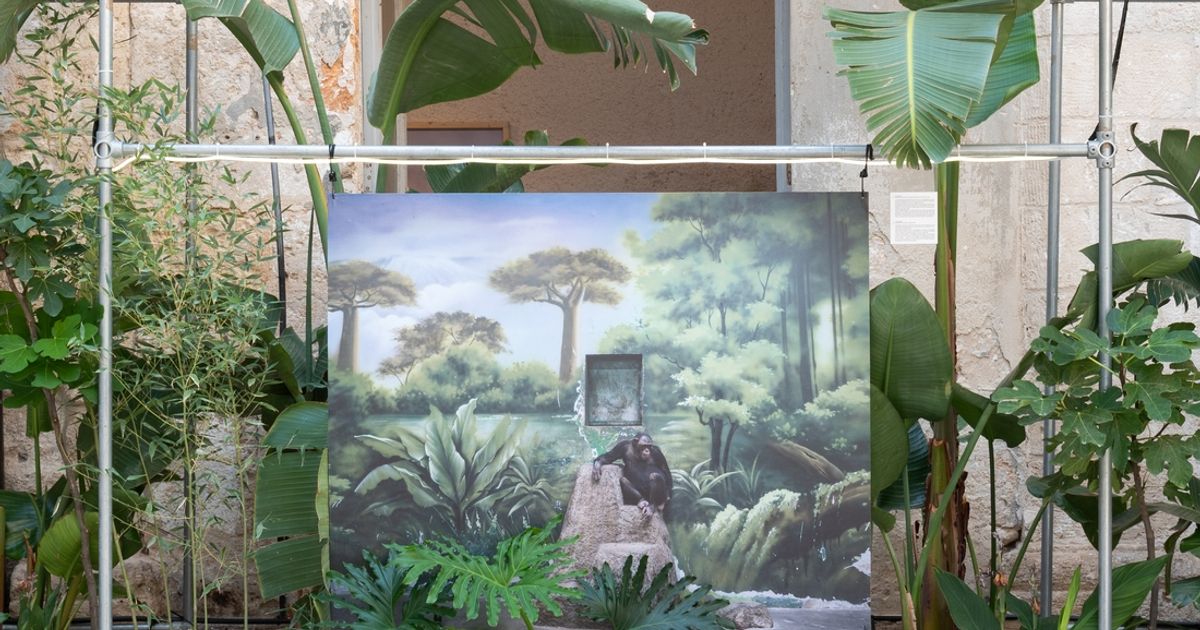 Zed Nelson On His Exhibition The Anthropocene Illusion at PhEST