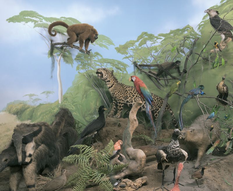 Photograph by Zed Nelson, from the series ‘The Anthropocene Illusion’