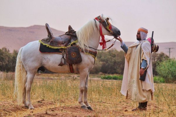 © Bounoua Ayoub Abdel basset - Image from the The wirld of fantasy photography project