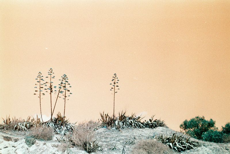 © Antonio Rosato - I AM NOT HERE