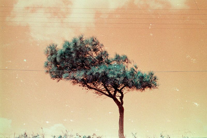 © Antonio Rosato - I AM NOT HERE