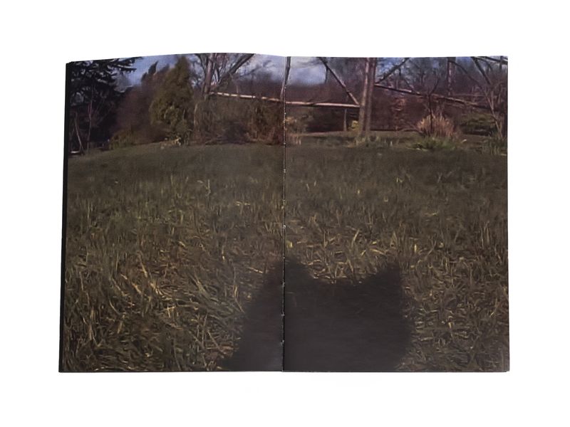 Photobook My Nonhuman Friends