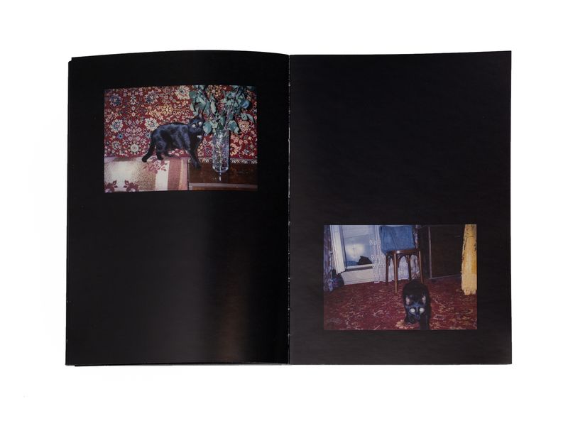 Photobook My Nonhuman Friends