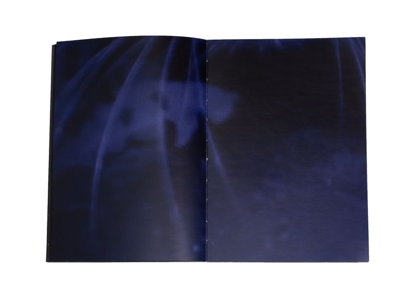 Photobook My Nonhuman Friends