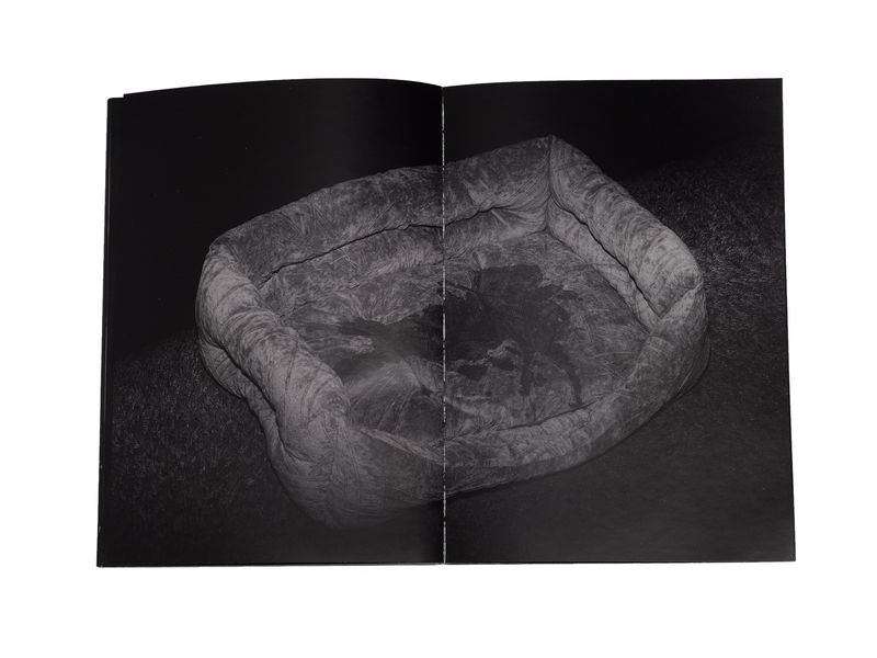 Photobook My Nonhuman Friends